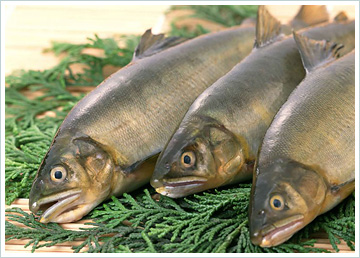 Невероятные совпадения из жизни