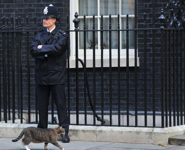 Разборки в Великобритании (4 фото) Разборки в Великобритании (4 фото)