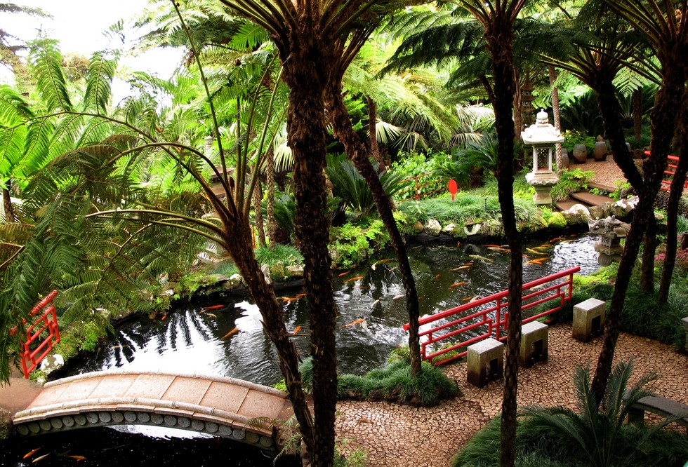 Сад Мажореля: гармония флоры, моды и искусства (11 фото)