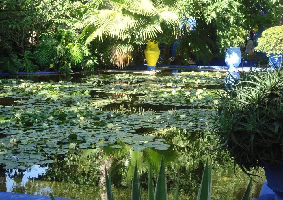 Сад Мажореля: гармония флоры, моды и искусства (11 фото)