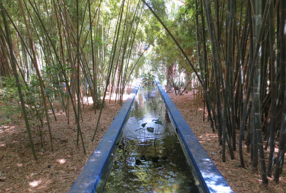 Сад Мажореля: гармония флоры, моды и искусства (11 фото)