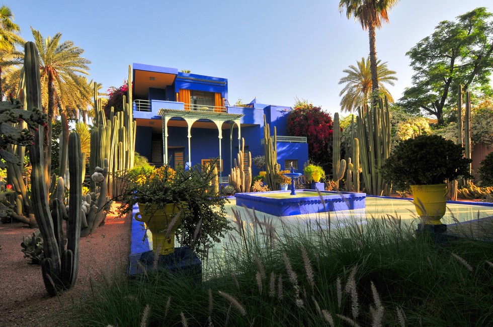 Сад Мажореля: гармония флоры, моды и искусства (11 фото)