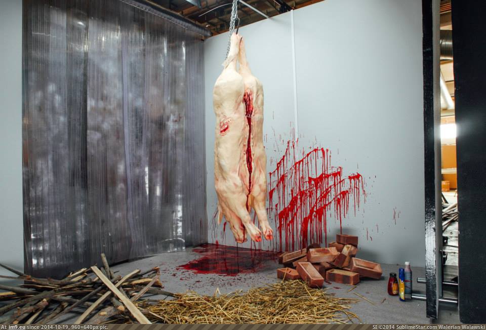 Современное искусство (6 фото)