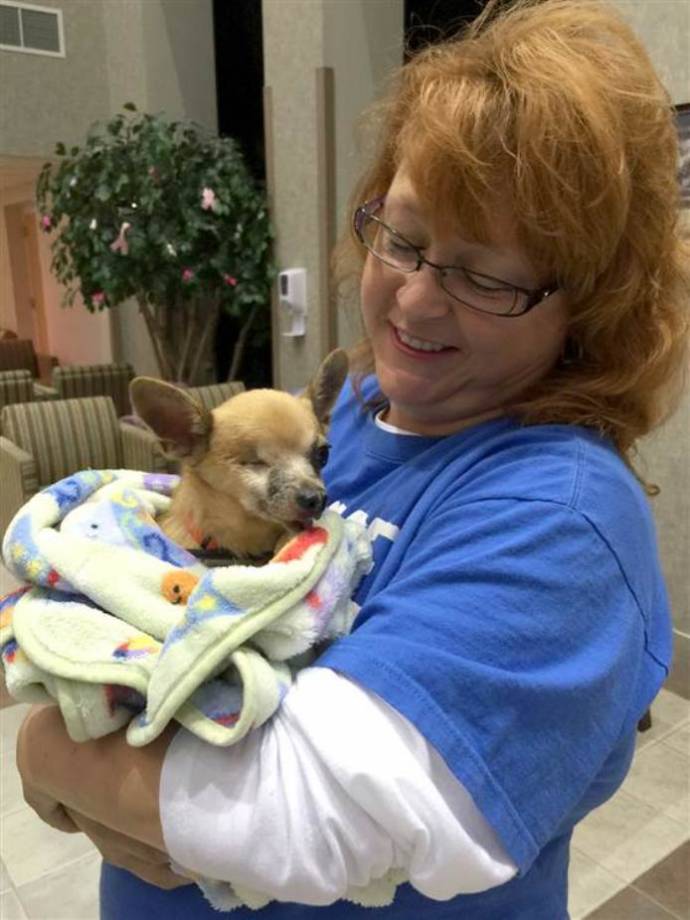 Любимая чихуахуа вернула к жизни умирающего хозяина (4 фото) Любимая чихуахуа вернула к жизни умирающего хозяина (4 фото)