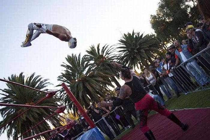 Прикольные картинки