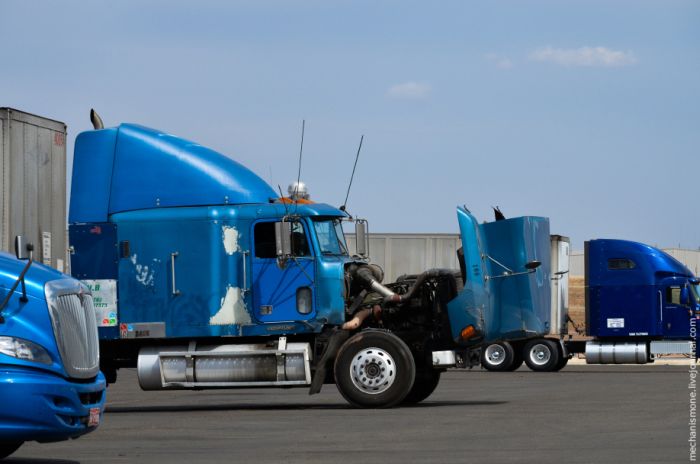 Жизнь американских дальнобойщиков