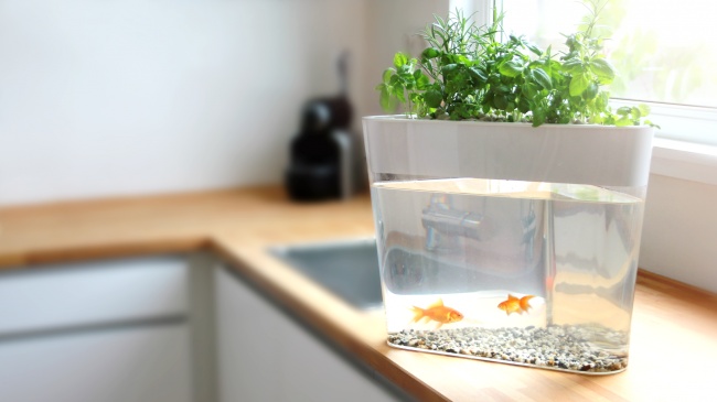 Вещи для дома, которые превращают быт в игру Вещи для дома, которые превращают быт в игру