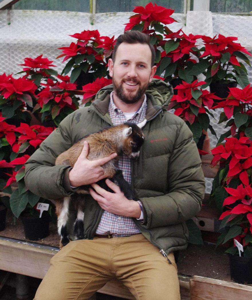 Милый домашний козлик