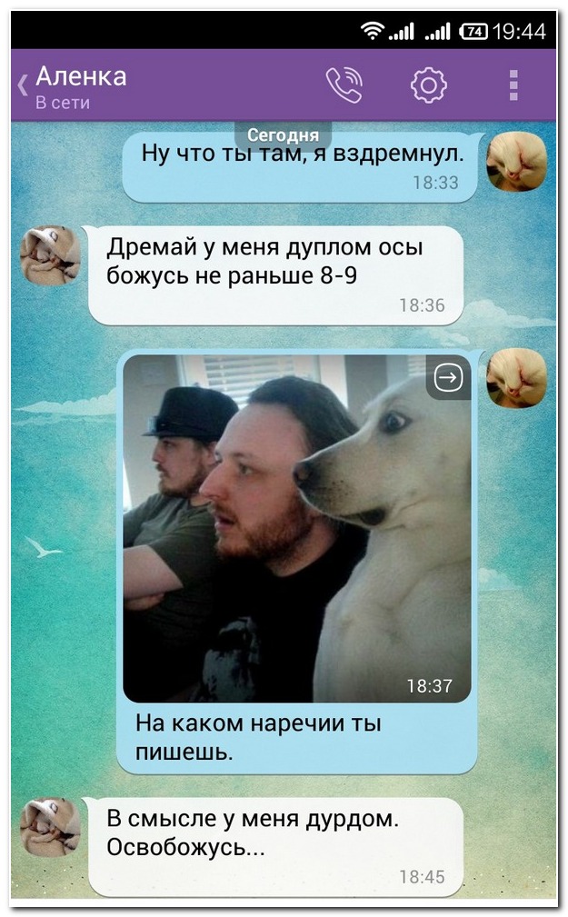 Смешные комментарии из социльных сетей