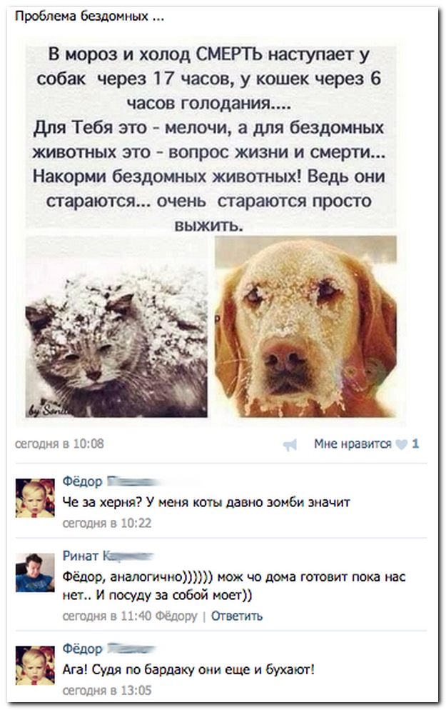 Смешные комментарии из социльных сетей