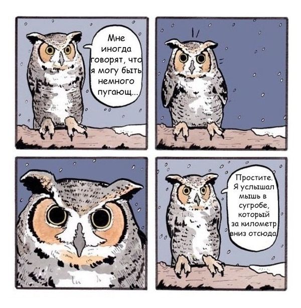 Смешные комиксы