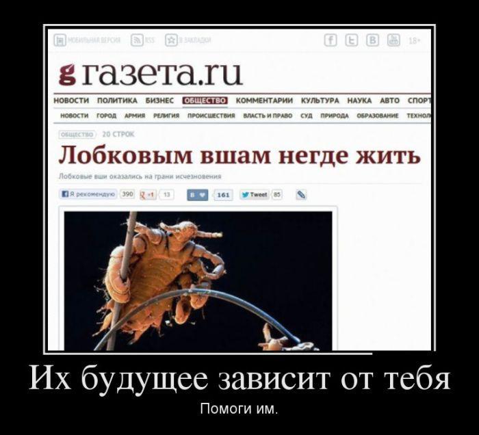 Демотиваторы