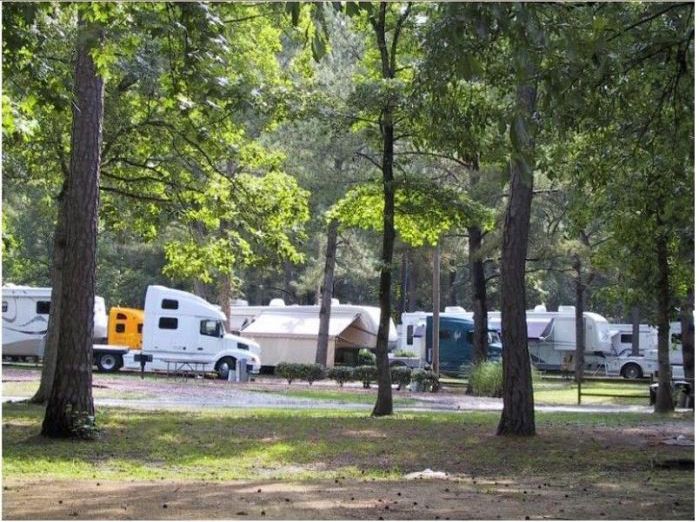 Креативный подход дальнобойщика к выходу на пенсию (33 фото)