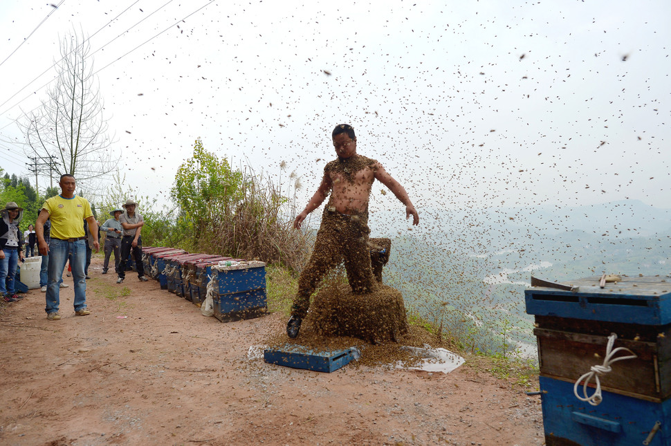 Самые странные и сумасшедшие чемпионаты в мире