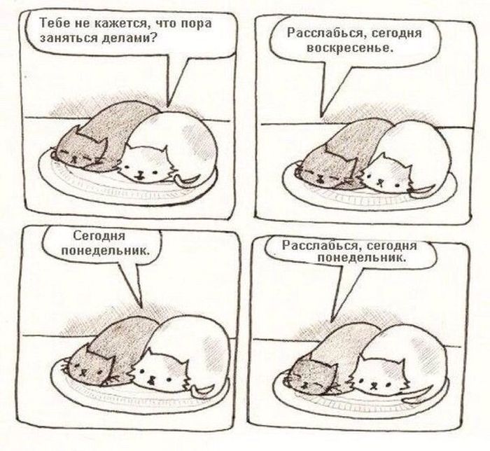 Смешные комиксы