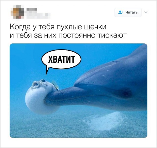 Смешные твиты от людей с хорошим чувством юмора