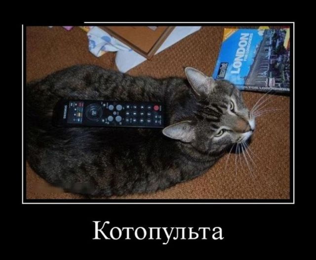 Демотиваторы