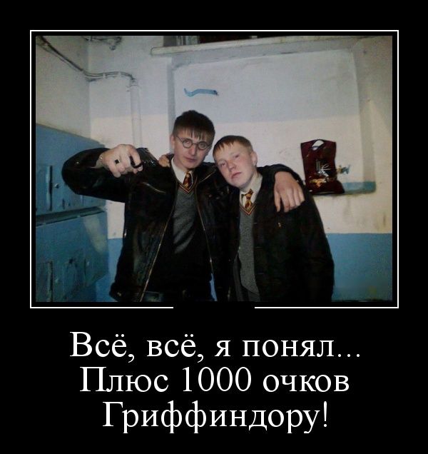 Демотиваторы