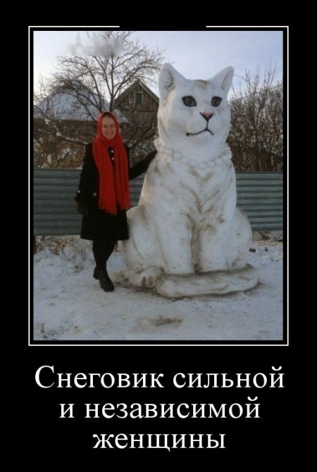 Демотиваторы