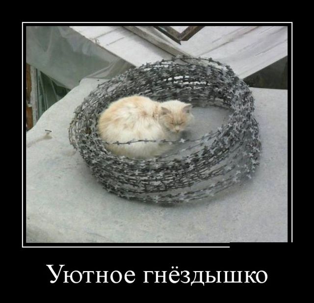 Демотиваторы