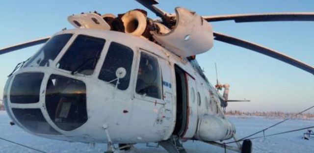 Дерево и вертолет – понятия несовместимые