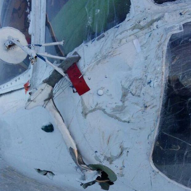 Дерево и вертолет – понятия несовместимые