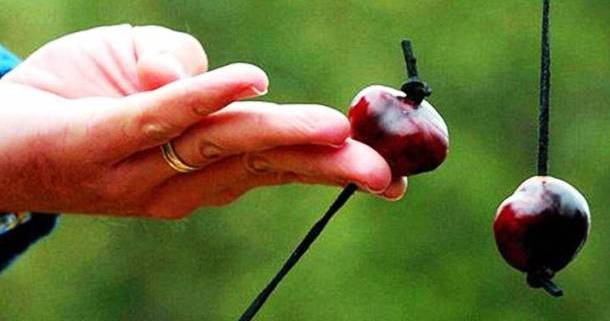 25 самых необычных видов спорта в мире