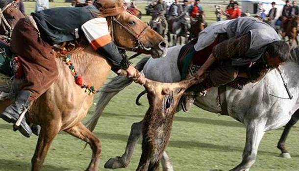 25 самых необычных видов спорта в мире