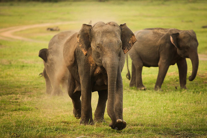 Рейтинг лучших бюджетных направлений для незабываемого отдыха