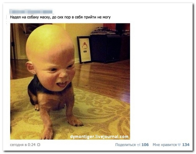 Смешные комментарии из социальных сетей