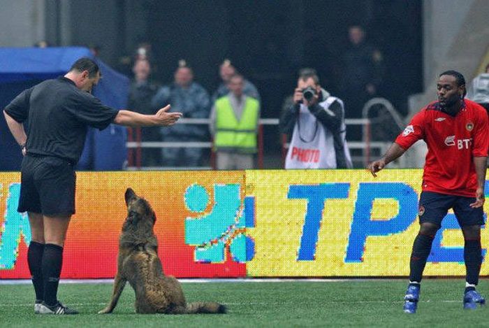 Забавные фото со спортивных соревнований