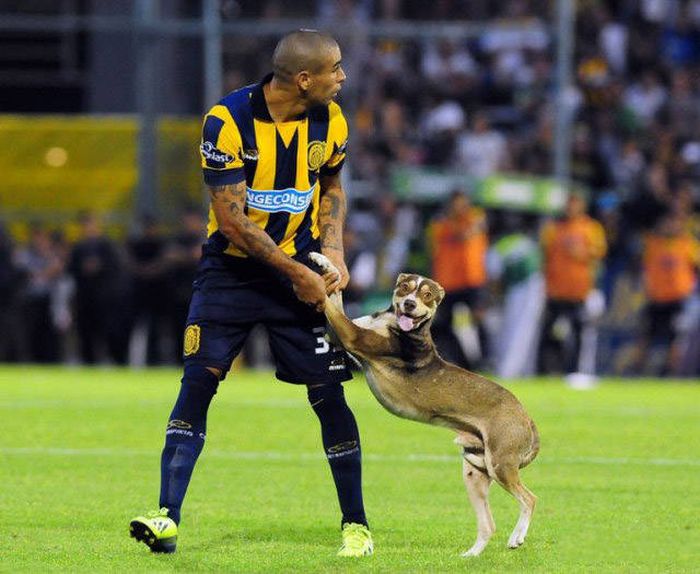 Забавные фото со спортивных соревнований