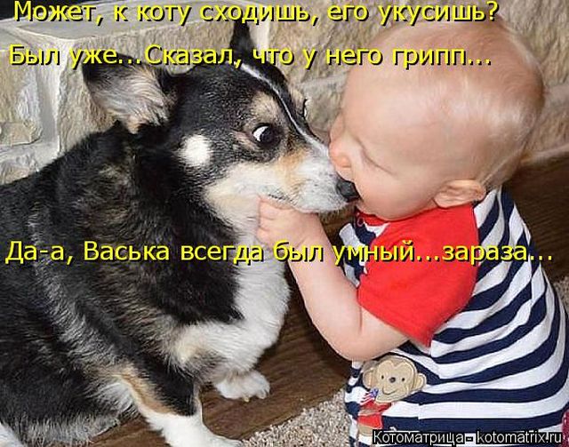 Лучшие котоматрицы недели