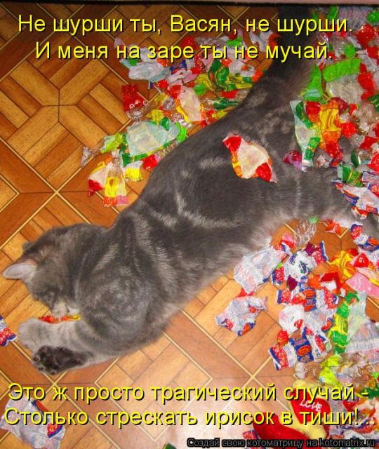 Лучшие котоматрицы недели