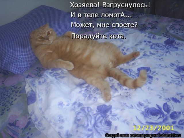Лучшие котоматрицы недели