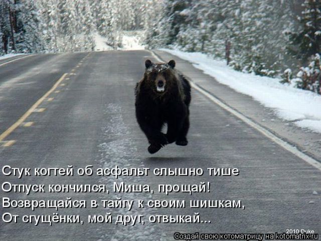 Лучшие котоматрицы недели