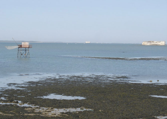 История форта Байяр История форта Байяр