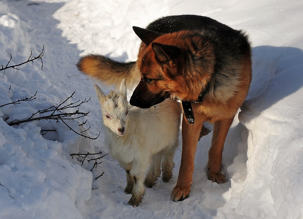 Искусство фотографии: Николай Сотсков