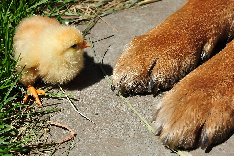 Искусство фотографии: Николай Сотсков