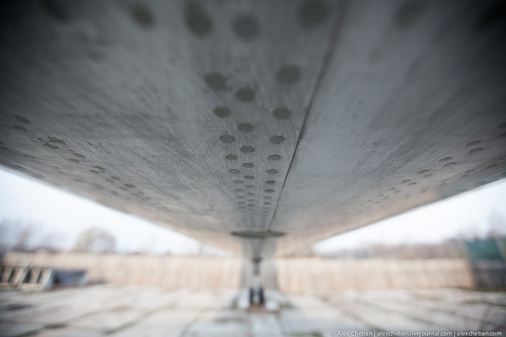 Самолет Брежнева в украинском огороде