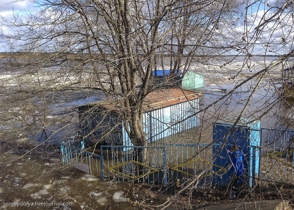 Наводнение в Дубне Наводнение в Дубне