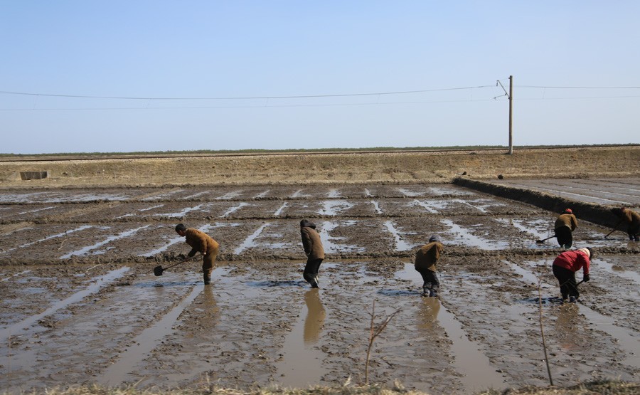 Северная Корея накануне войны Северная Корея накануне войны