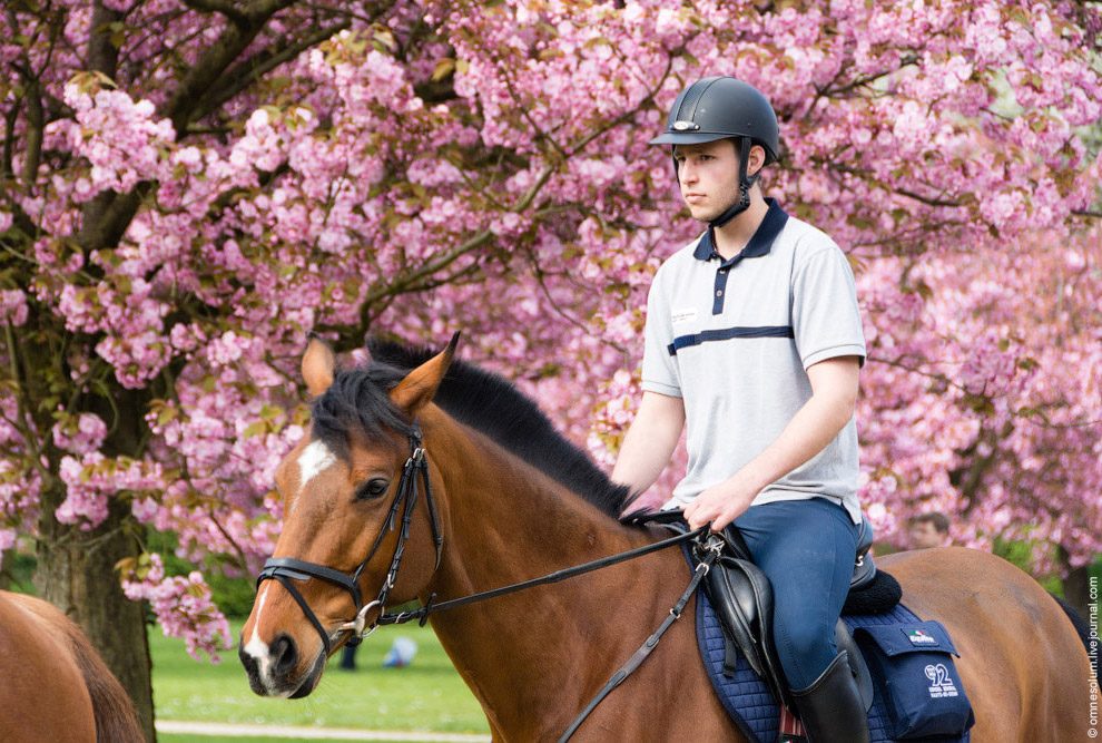 Цветение сакуры во Франции Цветение сакуры во Франции