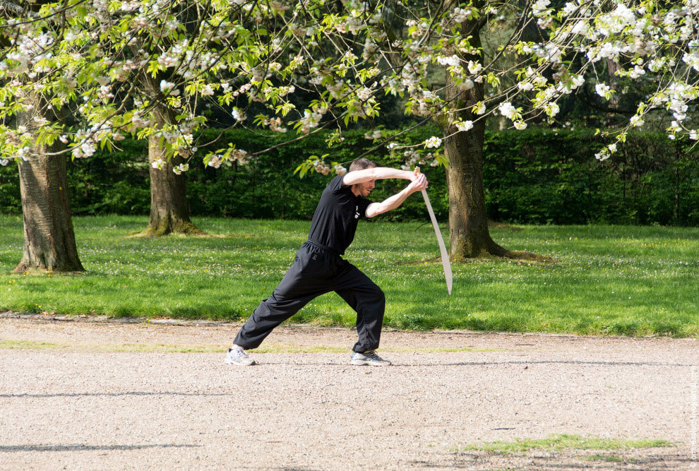 Цветение сакуры во Франции Цветение сакуры во Франции