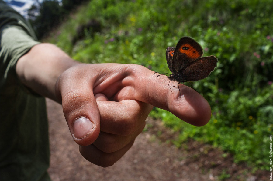 Восхождение на Эльбрус Восхождение на Эльбрус