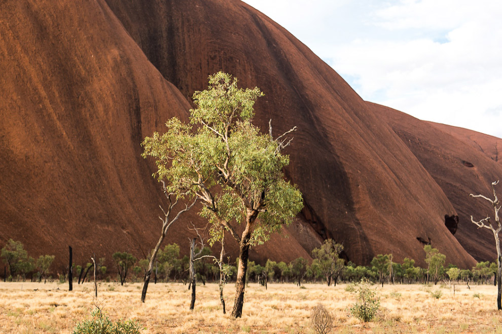 Улуру — самый большой камень на планете Улуру — самый большой камень на планете