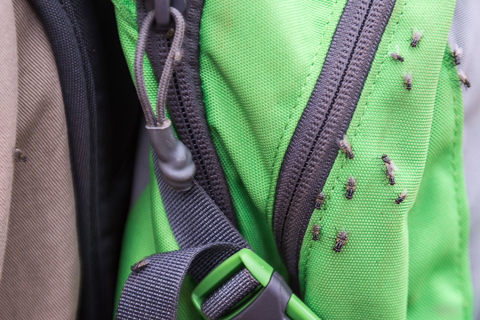 Улуру — самый большой камень на планете Улуру — самый большой камень на планете