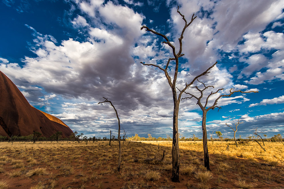 Улуру — самый большой камень на планете Улуру — самый большой камень на планете