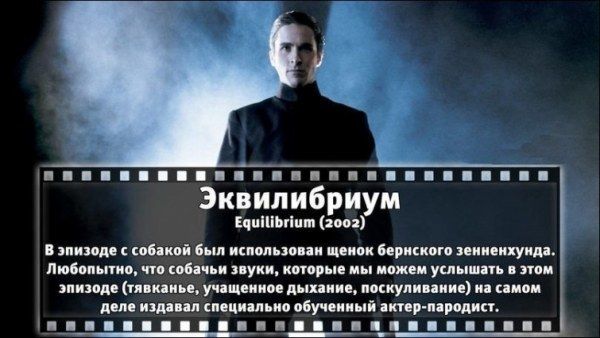 Неизвестные факты об известных фильмах (31 фото)