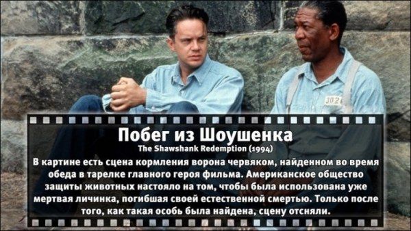 Неизвестные факты об известных фильмах (31 фото)